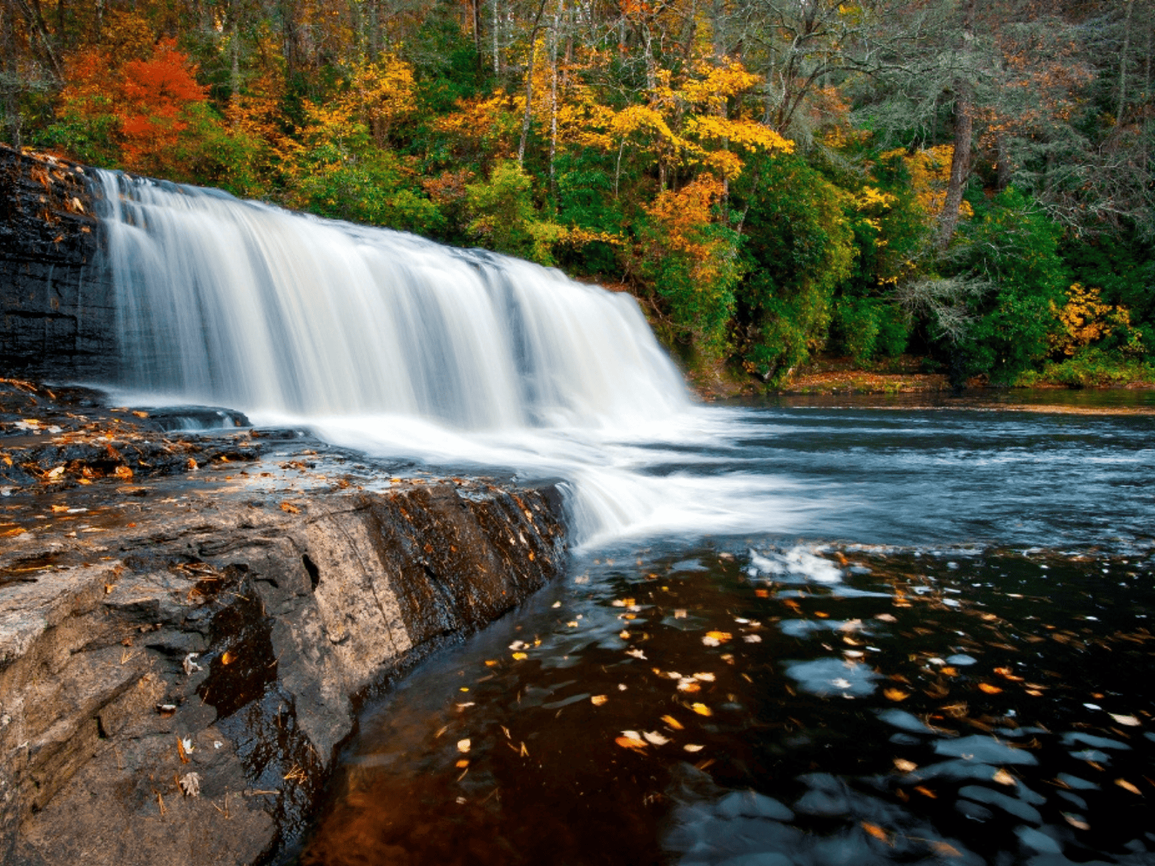 A roaring waterfall surround by fall colored tress